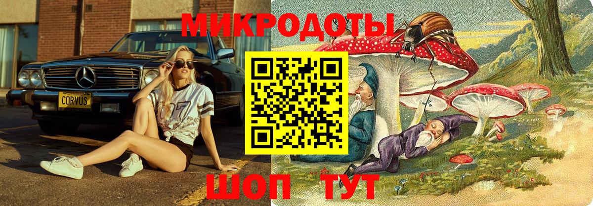 Галлюциногенные грибы MAGIC MUSHROOMS Коряжма