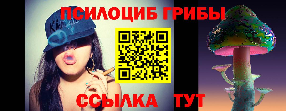 Коряжма  Псилоцибиновые грибы MAGIC MUSHROOMS  Псилоцибиновые грибы GOLDEN TEACHER  Вход с VPN 